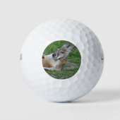 Kangaroo Golfballen (Voorkant)