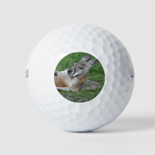Kangaroo Golfballen (Voorkant)