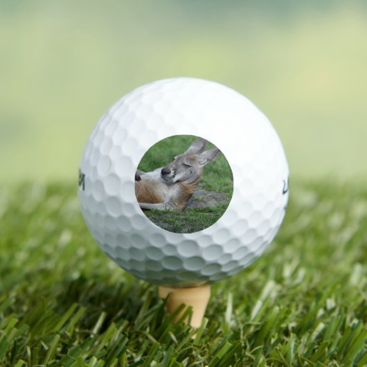 Kangaroo Golfballen (Insitu Shirt)