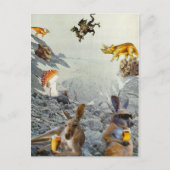 Kangaroo Holiday Briefkaarten (Voorkant)