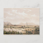 Kangaroo Hunt Briefkaart (Voorkant)