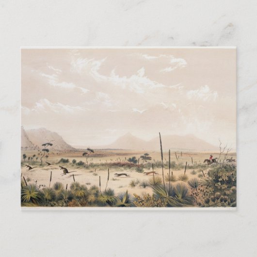 Kangaroo Hunt Briefkaart (Voorkant)