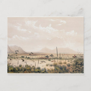 Kangaroo Hunt Briefkaart