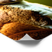 kangaroo in natuur portret digitale kunst poster (Hoek)