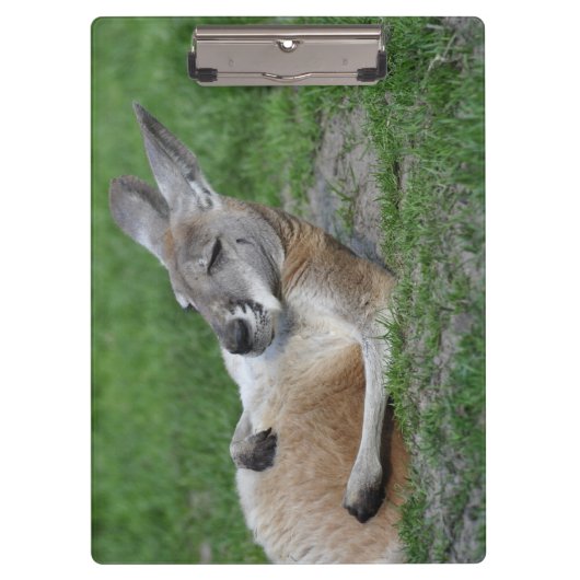 Kangaroo Klembord (Voorkant)