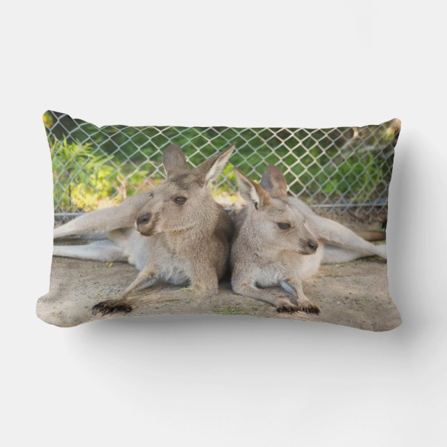 Kangaroo Kussen (Voorkant)