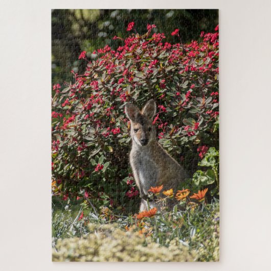 Kangaroo Legpuzzel (Verticaal)