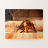 Kangaroo Legpuzzel (Horizontaal)