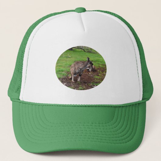 Kangaroo Luie Dag, Trucker Pet (Voorkant)