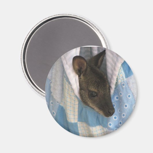 Kangaroo Magneet (Voorkant / Achterkant)