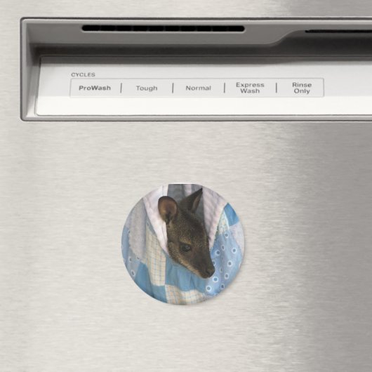 Kangaroo Magneet (Insitu (Vaatwasser))