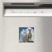 Kangaroo Magnet (Insitu (Vaatwasser))