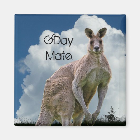 Kangaroo Magnet (Voorkant)