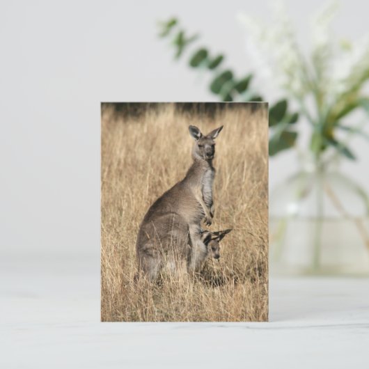 Kangaroo met Baby Joey in Pouch Briefkaart (Staand voorkant)