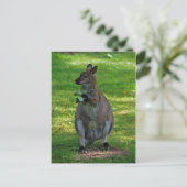 Kangaroo met eiken bladeren briefkaart (Staand voorkant)