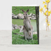 Kangaroo met Joey Birthday Kaart (Gele Bloem)