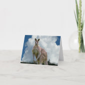 Kangaroo Notecard Kaart (Voorkant)
