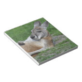 Kangaroo Notitieblok (Schuin)