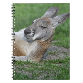 Kangaroo Notitieboek