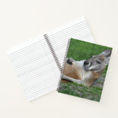 Kangaroo Notitieboek (Binnen)