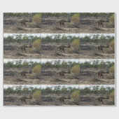 Kangaroo, ondertussen in de Billabong, Cadeaupapier (Vlak)