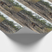 Kangaroo, ondertussen in de Billabong, Cadeaupapier (Hoek)