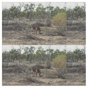 Kangaroo ondertussen in de Billabong, Stof