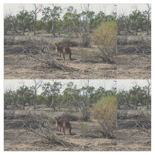 Kangaroo ondertussen in de Billabong, Stof (Close Up)