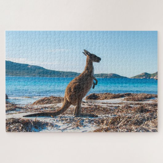 Kangaroo op het strand in Lucky Bay, 1014 stukken Legpuzzel (Horizontaal)