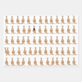 Kangaroo-papierbladen voor onmiddellijke verpakkin inpakpapier vel (Voorkant 3)