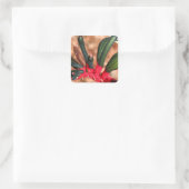 Kangaroo paw Australian flower in bloom Vierkante Sticker (Tas)
