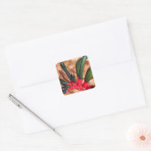 Kangaroo paw Australian flower in bloom Vierkante Sticker (Envelop)