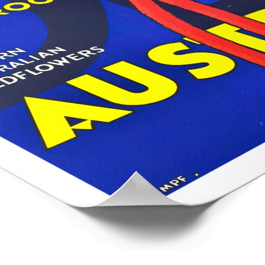 Kangaroo paws Australia vintage Poster (Hoek)