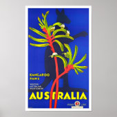 Kangaroo paws Australia vintage Poster (Voorkant)