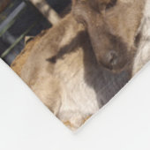 Kangaroo Photo Collage Fleece Deken (Hoek)
