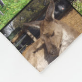 Kangaroo Photo Collage Fleece Deken (Hoek)