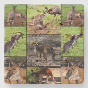 Kangaroo Photo Collage Stenen Onderzetter