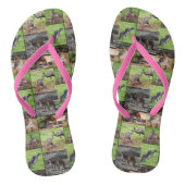 Kangaroo Photo Collage Teenslippers (Voetbed)