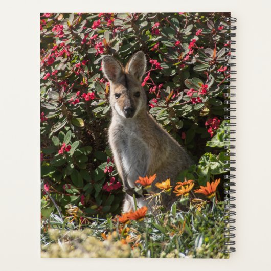 Kangaroo Planner (Achterkant)