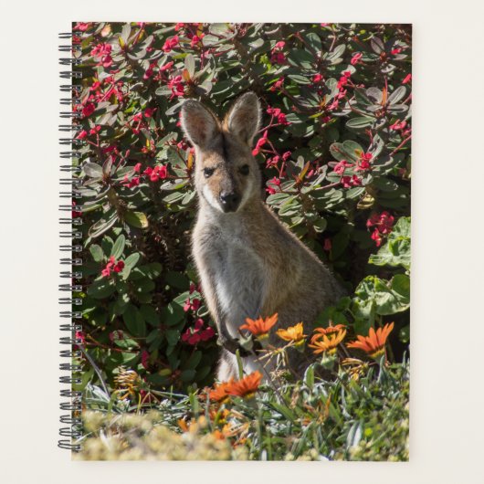 Kangaroo Planner (Voorkant)