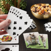 Kangaroo Pokerkaarten (Insitu)