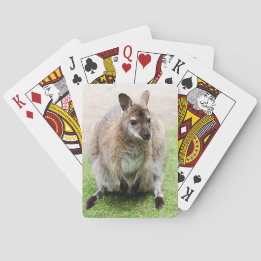 Kangaroo Pokerkaarten (Achterkant)