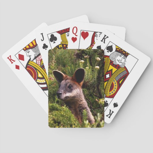 Kangaroo Pokerkaarten (Achterkant)