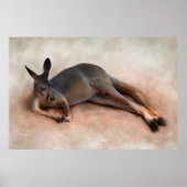 Kangaroo Poster (Voorkant)