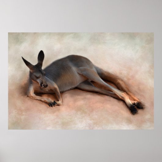 Kangaroo Poster (Voorkant)