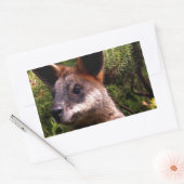 Kangaroo Rechthoekige Sticker (Envelop)