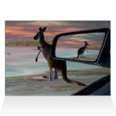Kangaroo Seaside Breezes Illusion Art, (Binnen Horizontaal (Boven))