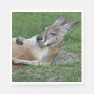 Kangaroo Servet