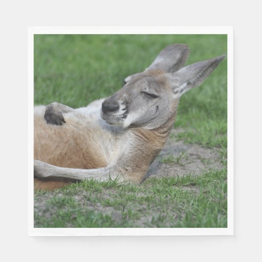 Kangaroo Servet (Voorkant)