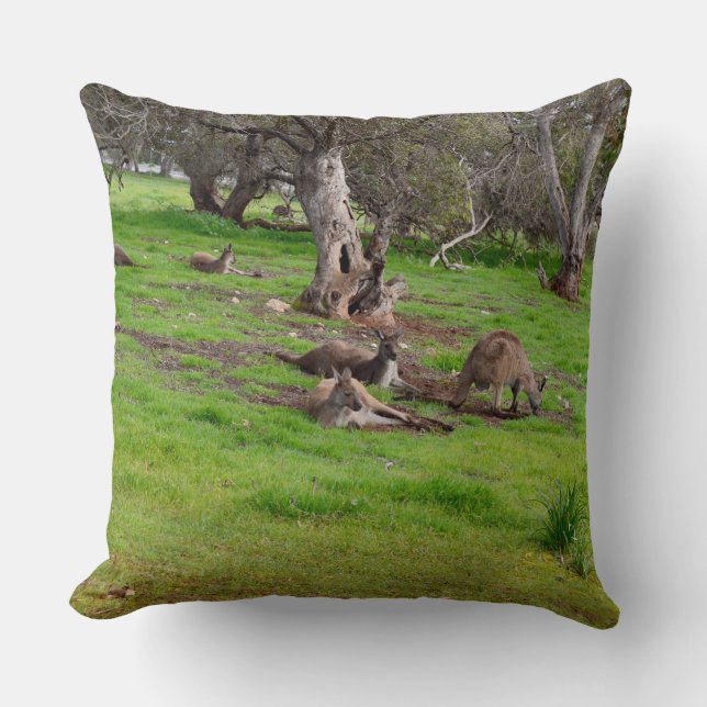 Kangaroo Siesta, Grote Throw Cushion. Kussen (Voorkant)